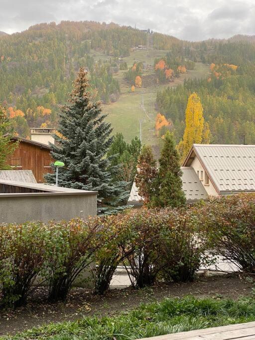 Appartement 4 Pers Grande Terrasse Vue Pistes Ski 圣沙夫雷 外观 照片